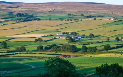 O imóvel rural – conceito, características e principais obrigações legais