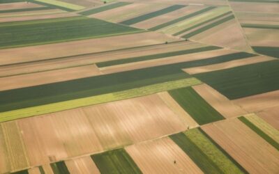 Parcelamento do solo rural: regras, possibilidades e riscos