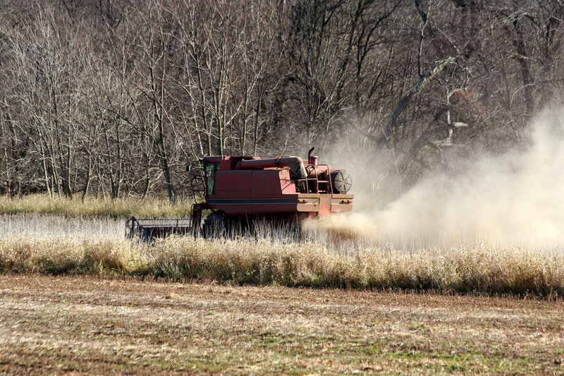 cuidados compra imovel rural fazenda