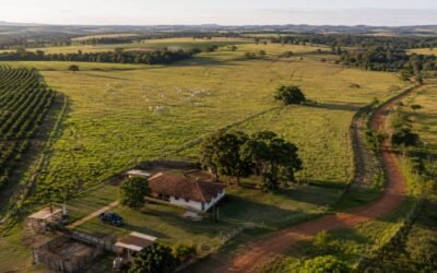 Estremação de Propriedade Rural: regularização, georreferenciamento e acesso a crédito em 2026
